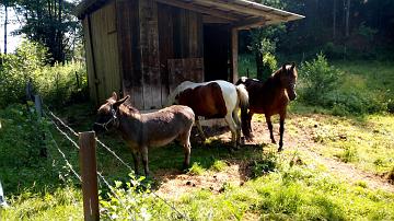 Ian & Doth (495)